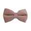 ペット用首輪 犬用 布製 ベルベット