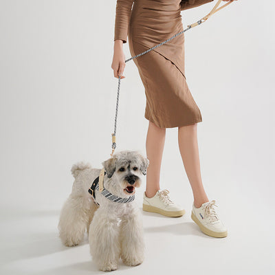犬　手綱　ペットハーネス　鎖