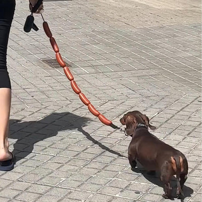 犬がロープと大量のソーセージを手に持っている