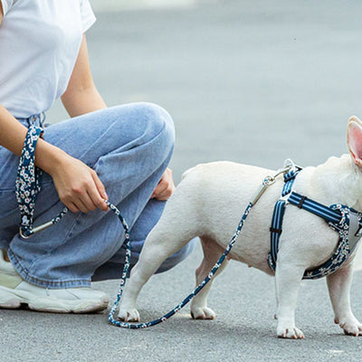 屋外ペット犬花柄丸型手持ちリード