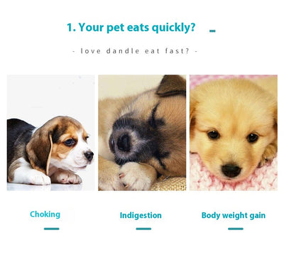 ペット用早食い防止食器