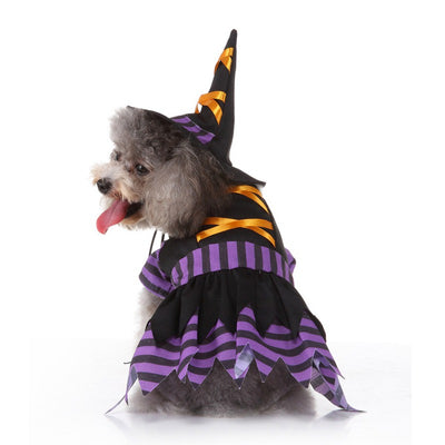 ハロウィン おもしろ代替ペットコスチューム