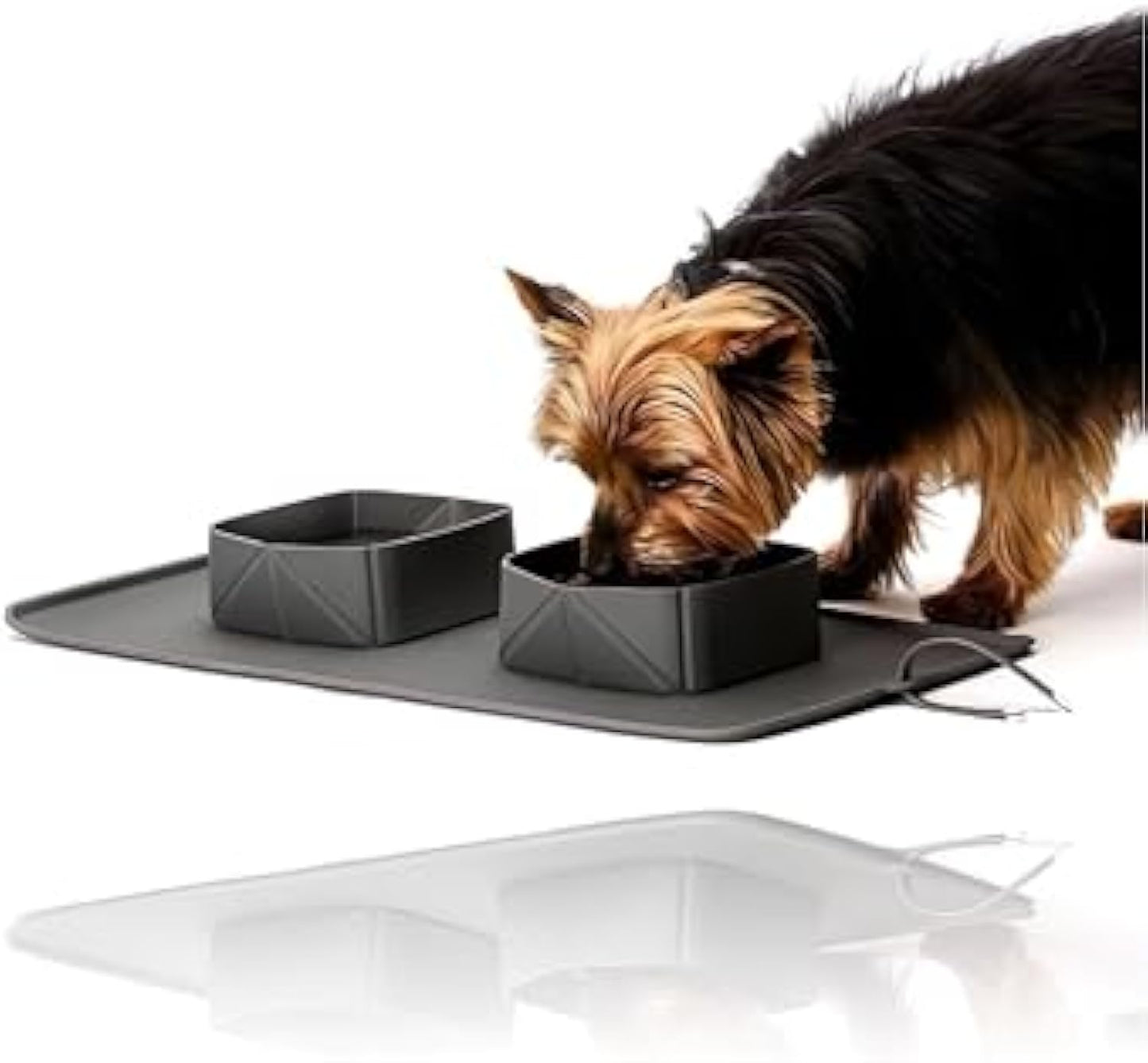 犬猫用携帯用シリコン製ペットフィーダー 折りたたみ式フード・水入れ