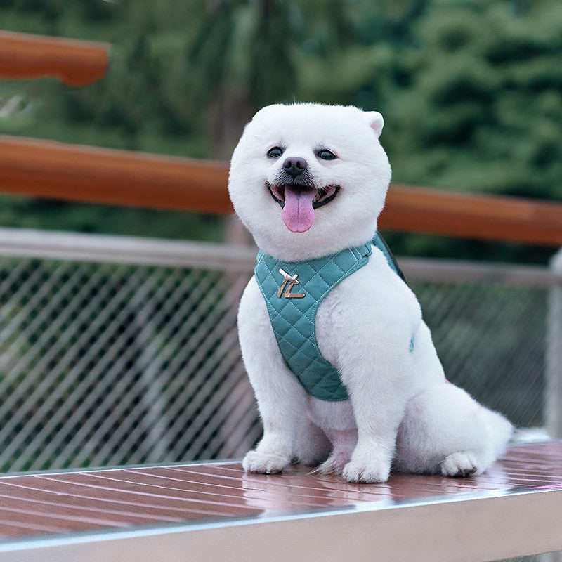 犬の引きひもロープチェストストラップ小型犬テディコーギー