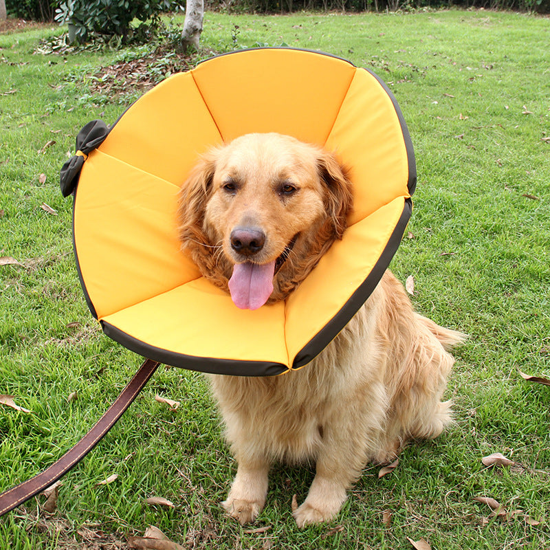 ペット用品 犬 介護用品 エリザベスカラー