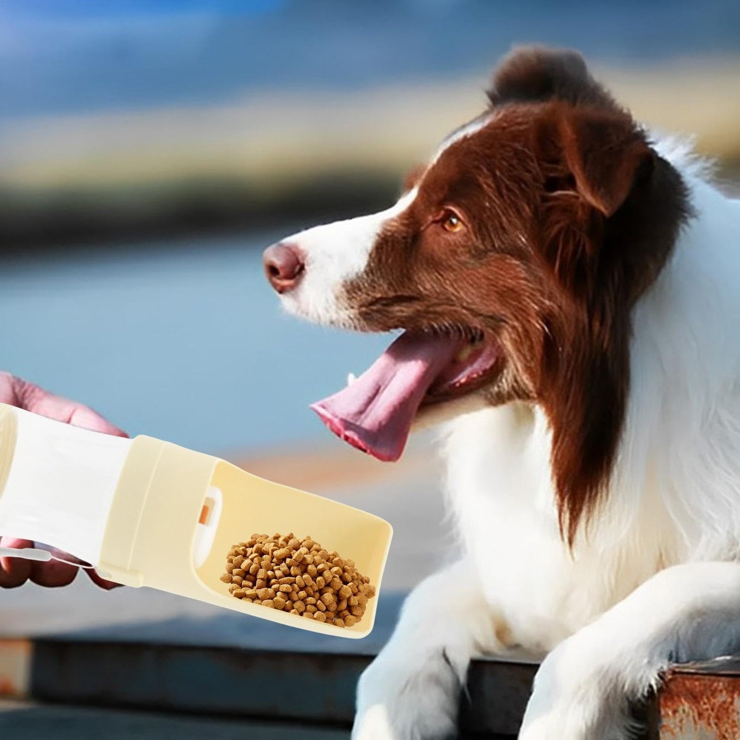 2in1 トラベルドッグウォーターボトル ペット用給水器 フードフィーダー 犬用お散歩給水器 ペット用屋外携帯カップ ペット用品